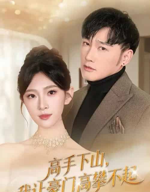 高手下山，我让豪门高攀不起（80集全）萧赫＆焦爱迪-搜外项目网