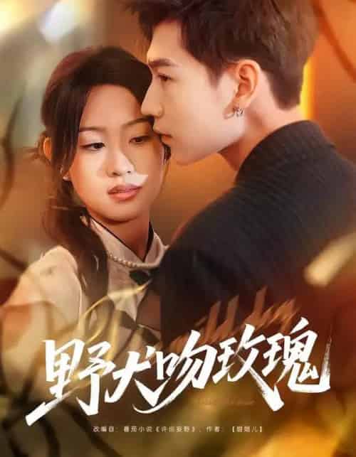 野犬吻玫瑰（70集全）王继冉＆孙园静-搜外项目网