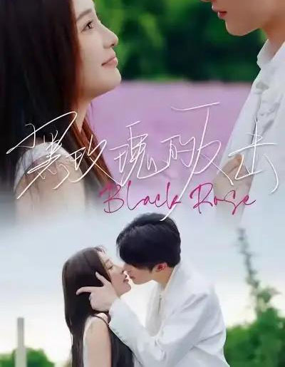 黑玫瑰的反击（47集全）裘哲夫＆焦娇-搜外项目网