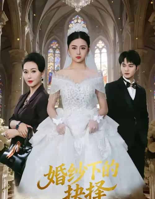 婚纱下的抉择(60集全)周政&刘韶祎-搜外项目网