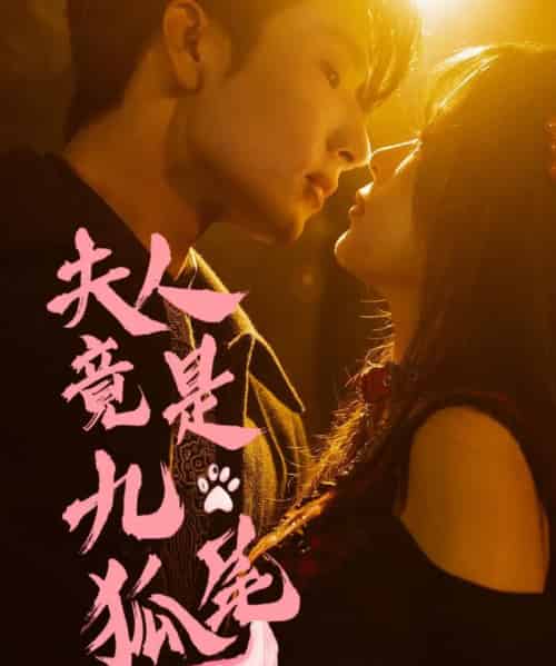 夫人竟是九尾狐（61集）闫海明＆包颜萁-搜外项目网