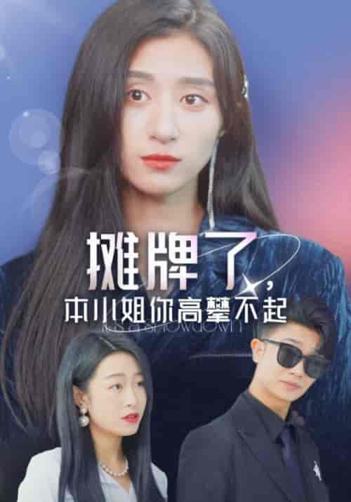 摊牌了，本小姐你高攀不起（99集全）金少杰＆蓝茵梦-搜外项目网