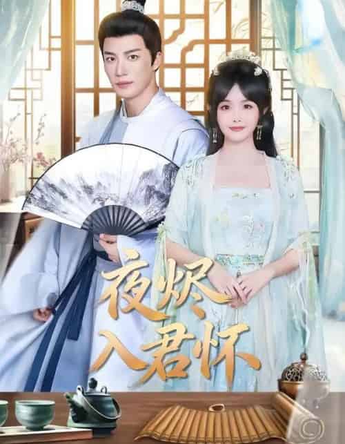 夜烬入君怀（80集全）王名扬＆朱容君-搜外项目网