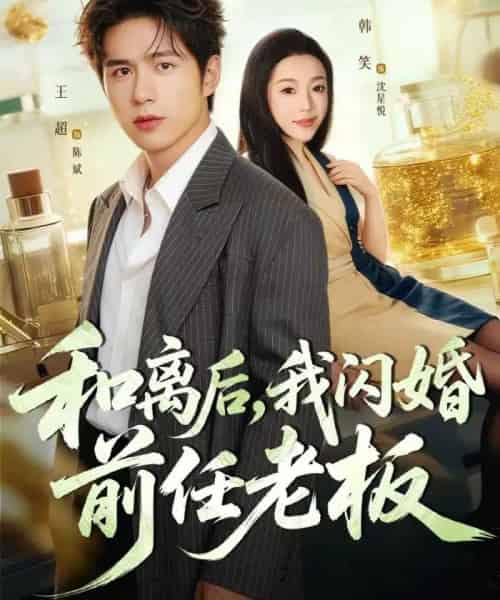 和离后，我闪婚前任老板（77集全）王超＆韩笑-搜外项目网