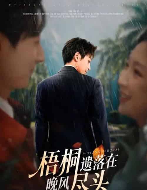 梧桐遗落在晚风尽头＆棠花不识旧时月（71集全）赵琪＆蒋未-搜外项目网