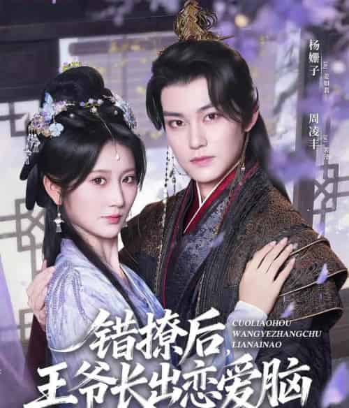 错撩后王爷长出恋爱脑(82集全)周凌丰&杨珊子-搜外项目网