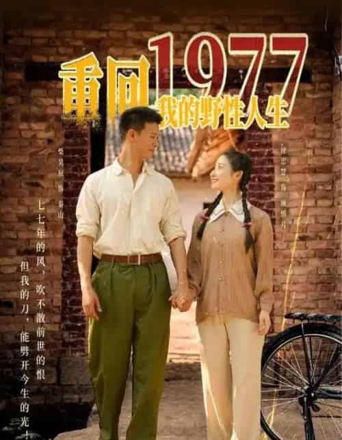重回1977我的野性人生（83集）柴昊辰＆徐忠慧-搜外项目网