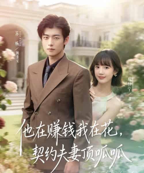 他在赚钱我在花,契约夫妻顶呱呱(79集全)苏畅&成梓宁-搜外项目网