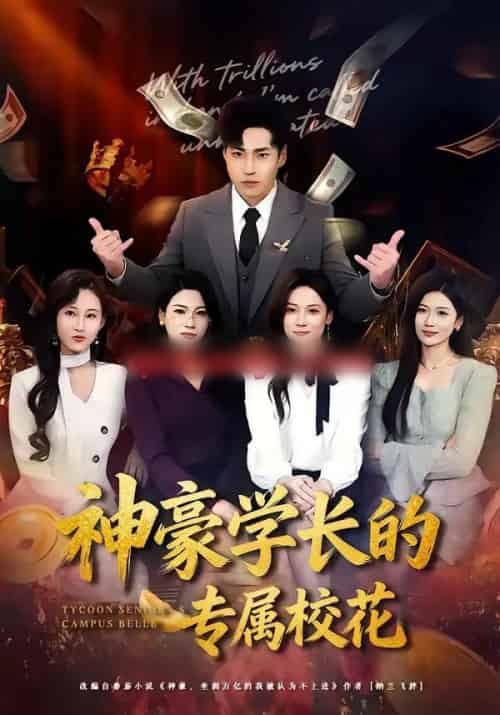 神豪学长的专属校花(80集全)刘熠辉&李坤怡-搜外项目网