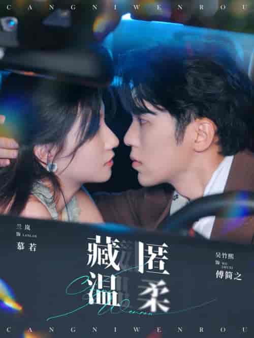 藏匿温柔（99集全）吴竹熙＆兰岚-搜外项目网