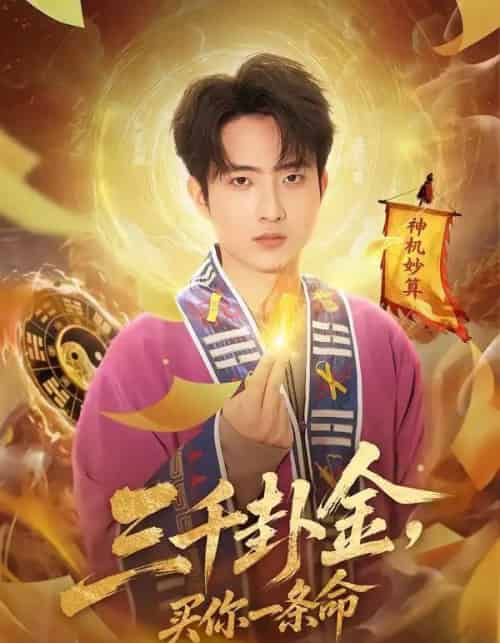 三千卦金，买你一条命（70集全）曹文靖＆魏伯祥-搜外项目网