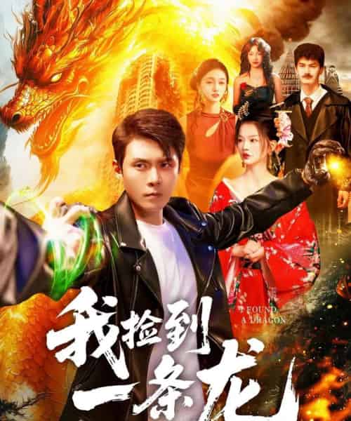 我捡到一条龙(89集全)韩雨轩&董秋怡-搜外项目网