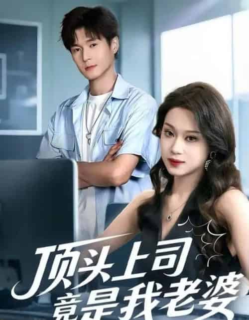 顶头上司竟是我老婆（51集全）任柏玉＆韩品杰-搜外项目网