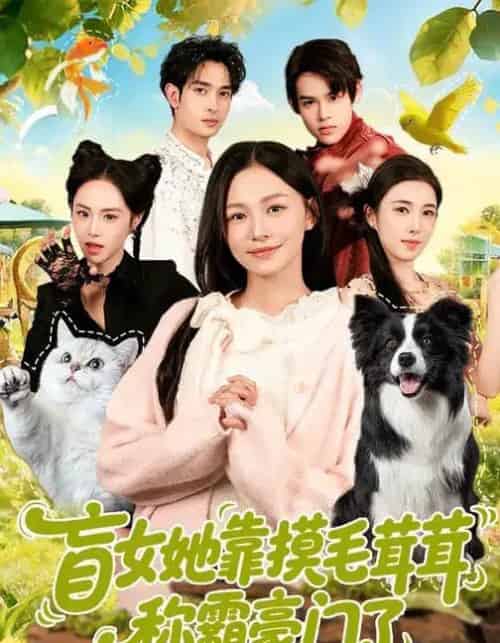 盲女她靠摸毛茸茸称霸豪门了（84集全）陈洁怡＆范骏羽-搜外项目网