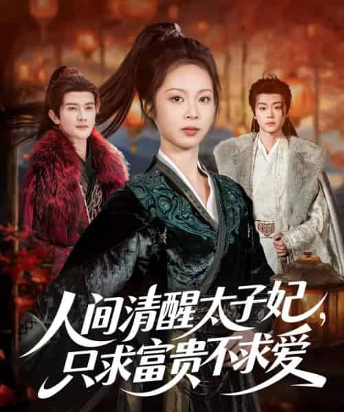 人间清醒太子妃,只求富贵不求爱(60集全)陈冠峄&姚慧-搜外项目网