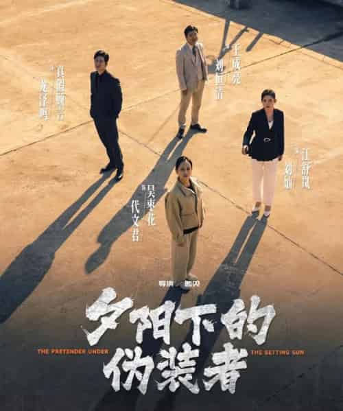 夕阳下的伪装者（47集全）刘灿＆龙泽鸣-搜外项目网