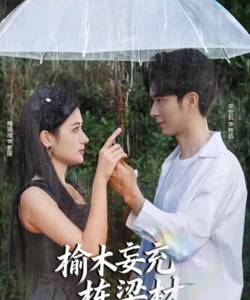 榆木妄充栋梁材（88集全）朱宏钊＆梅瑞滢-搜外项目网