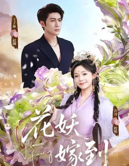 花妖嫁到（63集全）王子林＆许丹-搜外项目网