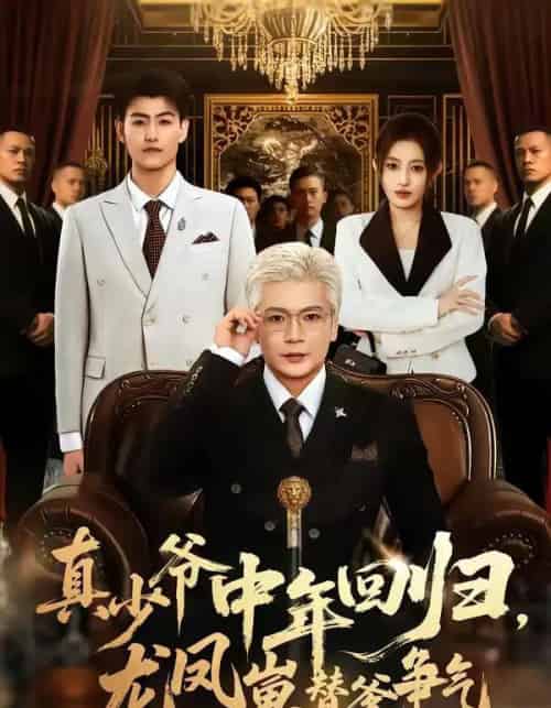真少爷中年回归，龙凤崽替爹争气（76集全）朱艺莉＆李萌-搜外项目网
