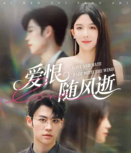 爱恨随风逝（62集全）牛湘鹭＆刘锟泓-搜外项目网