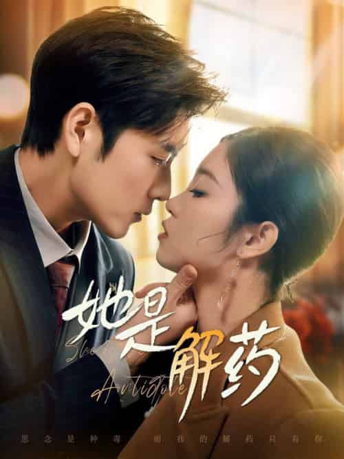 她是解药(62集全)张志伟&刘盈&王艺珂-搜外项目网