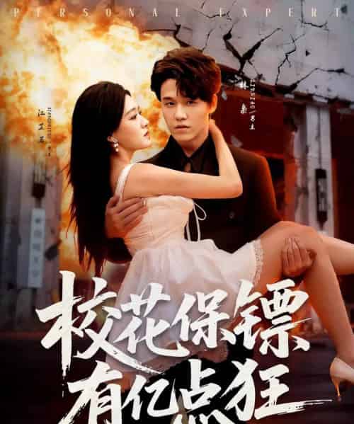 校花保镖有亿点狂（67集全）王一淼＆陈杨婷丹-搜外项目网