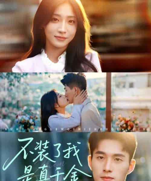 不装了我是真千金(67集)邹盛文-搜外项目网