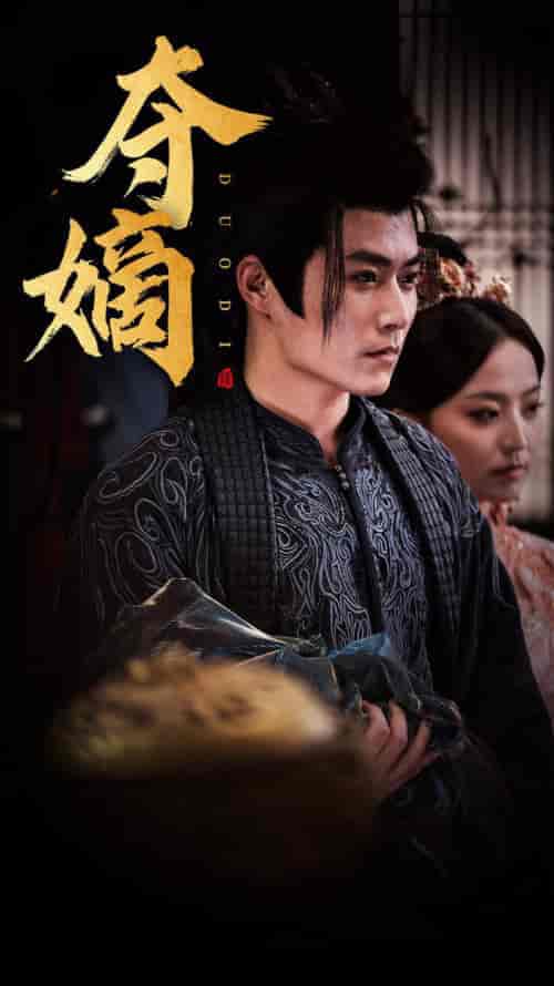 新：双姝＆夺嫡（36集全）-搜外项目网