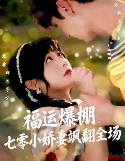 福运娇妻穿七零我带全家飞&福运爆棚七零小娇妻飒翻全场(73集全)苏霖&希尔力-搜外项目网