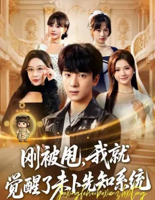 刚被甩,我就觉醒了未卜先知系统(70集全)金大钟&王瀚迎-搜外项目网