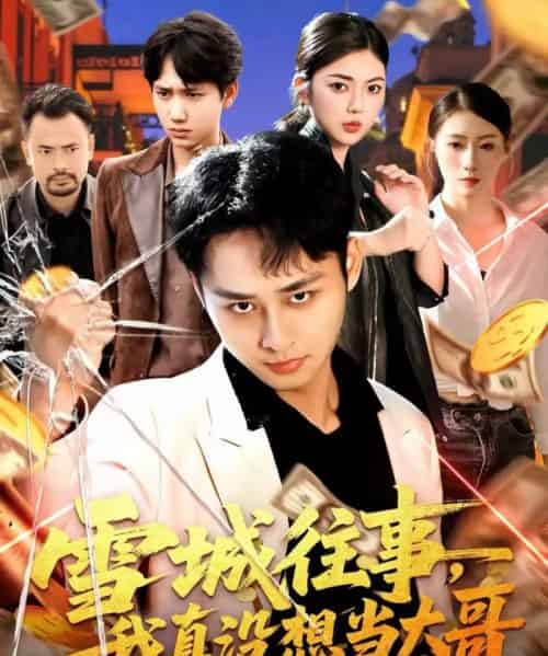 雪城往事,我真没想当大哥(99集全)卢艺煊&邵迪-搜外项目网