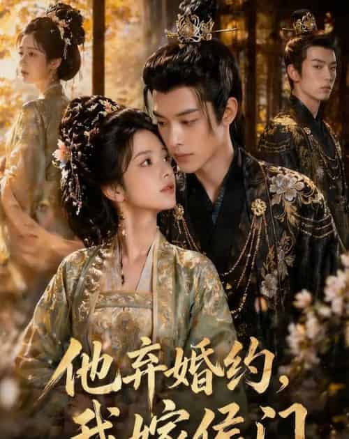 他弃婚约我嫁侯门（47集全）-搜外项目网