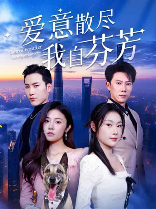 爱意散尽我自芬芳 爱意散尽我自芬芳