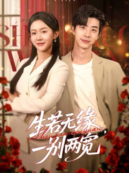 生若无缘,一别两宽(60集)孙志强&李玥&小雨-搜外项目网