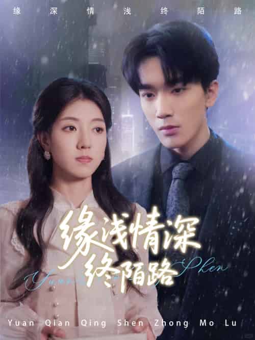缘浅情深终陌路（59集）张慧尧-搜外项目网