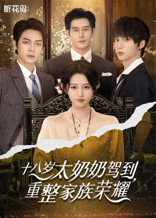 十八岁太奶奶驾到,重整家族荣耀(47集)李柯以&王培延&曾辉&赵廷义-搜外项目网