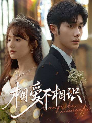 相爱不相识（67集）李铂一＆王子怡-搜外项目网