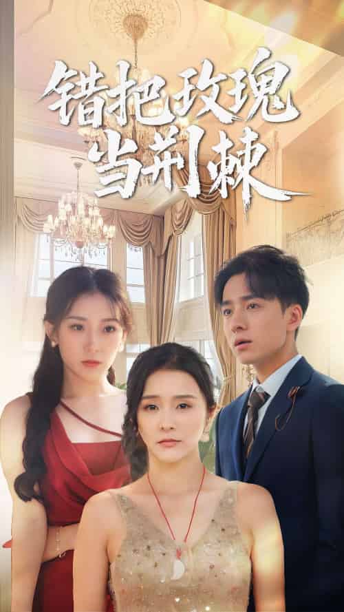 错把玫瑰当荆棘(40集)金大钟&王蕾-搜外项目网