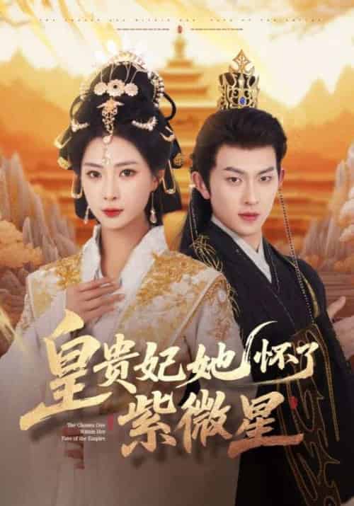 皇贵妃她怀了紫薇星（80集）陈添祥＆杨瑾羽-搜外项目网