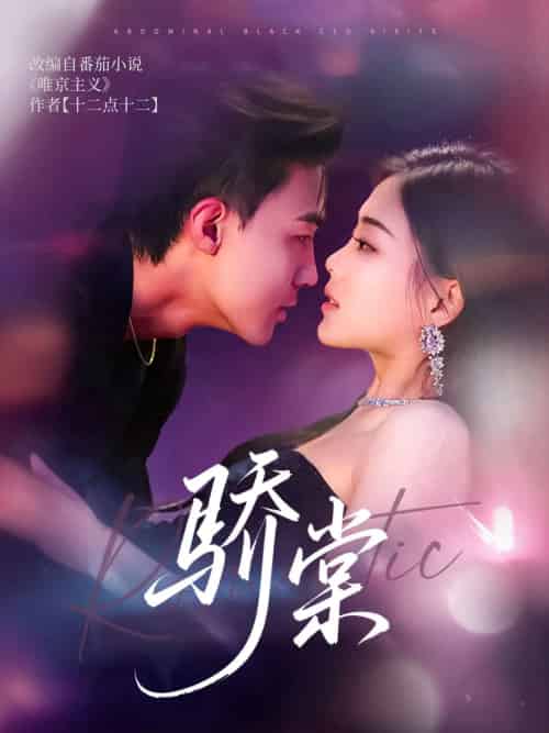 骄棠（80集）沈国洋＆丁紫含-搜外项目网