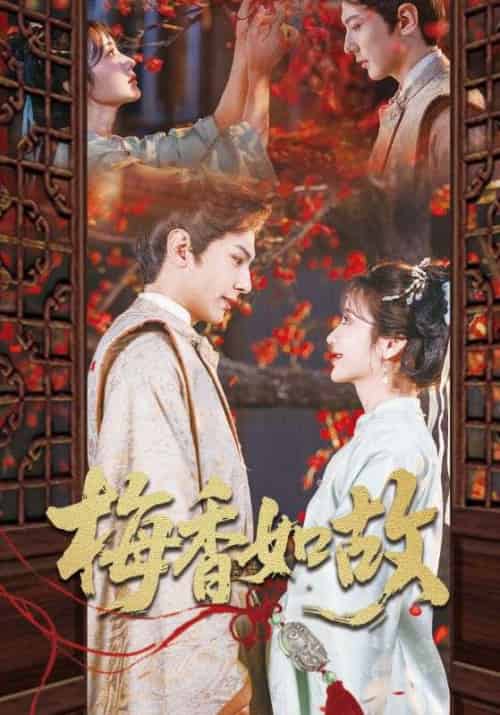 梅香如故（60集）龚小钧＆伍姣-搜外项目网
