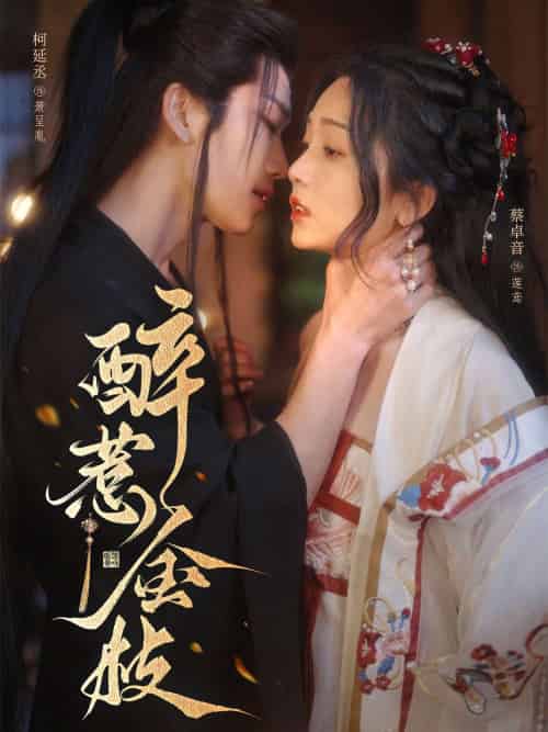 醉惹金枝（61集）柯延丞＆蔡卓音-搜外项目网