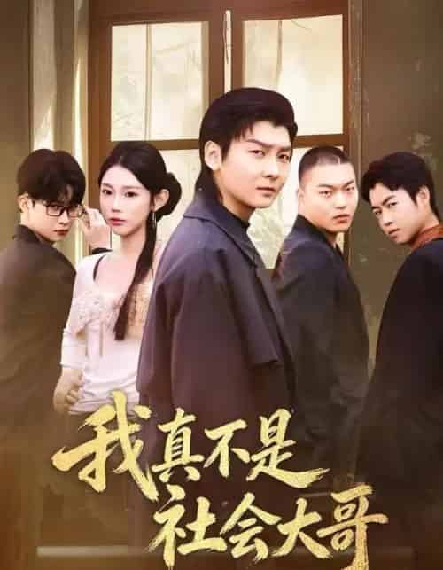 我真不是社会大哥（80集全）初汶轩＆哲博-搜外项目网