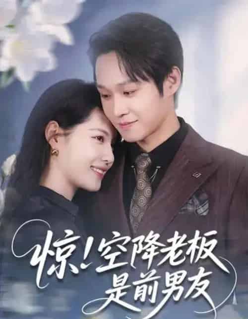 惊！空降老板是前男友（65集全）董洁＆王金泽-搜外项目网