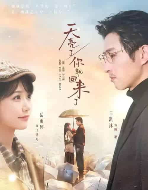 天亮了，你就回来了（63集全）王凯沐＆岳雨婷-搜外项目网