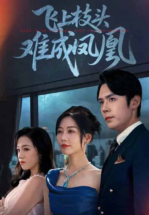 飞上枝头难成凤凰（47集全）刘清心＆王亦宸-搜外项目网