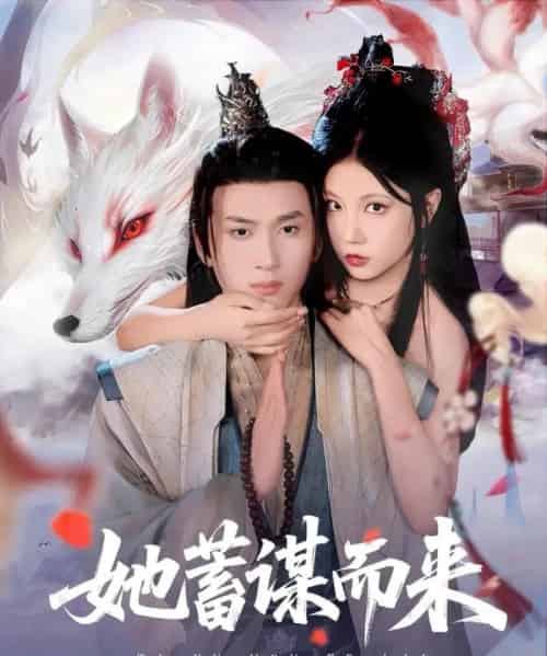 她蓄谋而来（59集）陈彦霖＆徐漫宁-搜外项目网