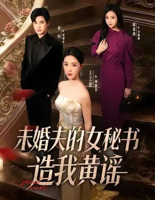 未婚夫的女秘书造我黄谣（51集全）王艺舒＆易恒-搜外项目网