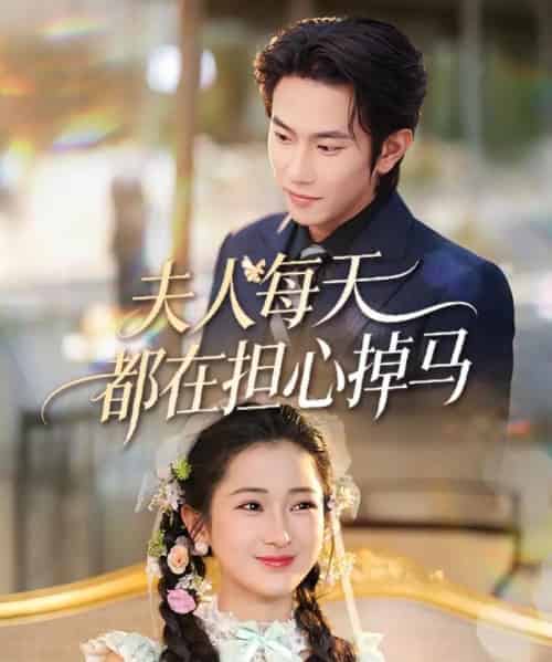 夫人每天都在担心掉马(62集全)程澄&汪海敏-搜外项目网