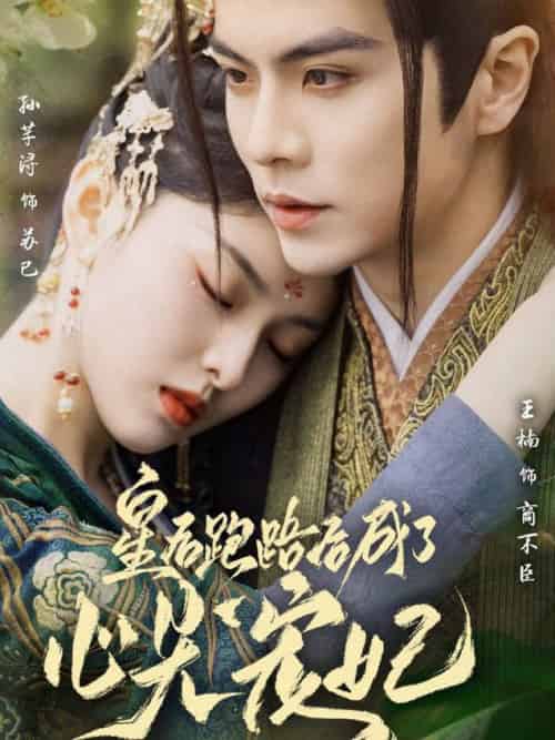 皇后跑路后成了心尖宠妃（66集全）王楠＆孙芊浔-搜外项目网